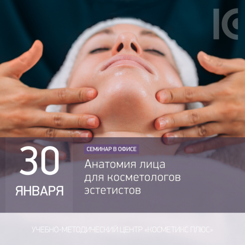 Анатомия лица для косметологов-эстетистов